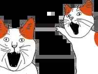 :#marseysoypoint2: