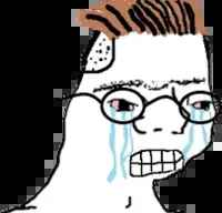 :zoomertears: